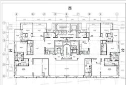 The Ritz-Carlton  (D9), Condominium #537148911
